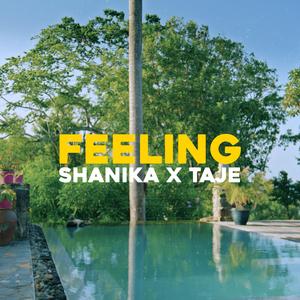 Feeling (feat. Taje)