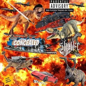 Concealed