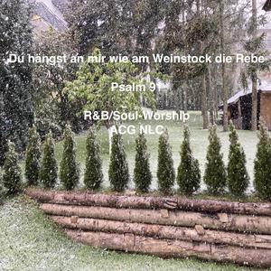 Du hängst an Mir wie am Weinstock die Rebe