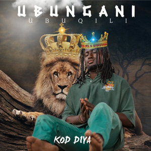 UBUNGANI UBUQILI (Radio Edit)