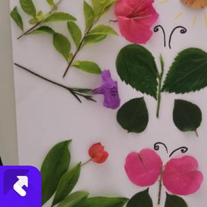 旷野中的自由渴望者 (现场)