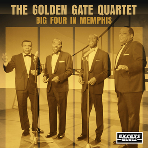 Put Your Cat Clothes On