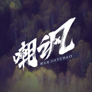 嘲讽 (DJheap九天版伴奏)