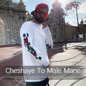 Cheshaye To Male Mane
