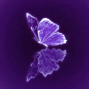 阶段性（Spring Season）prod.jos10xlvnar