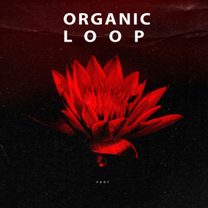 Give Me a Smile (Original Mix)