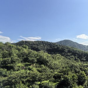 爱的疯狂 【信息】 【信息】 【转】