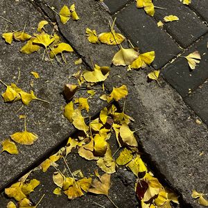 和解（Prod by Survival.)