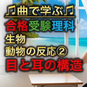 理科 生物_動物の反応②_目と耳の構造