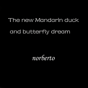 The Seagulls Cry Softly