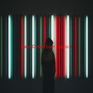 Bass Down Low (explicit) (Tribute version originally performed by Dev feat. The Cataracs)