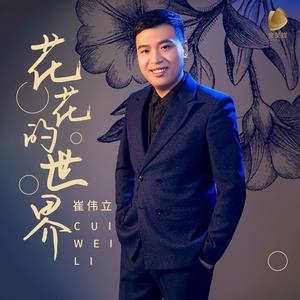 花花的世界 (DJ默涵版)