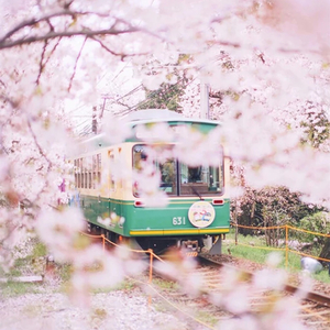 东西（温柔男声版）