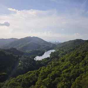 那个大草原风吹过