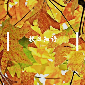 秋日阳光的午后