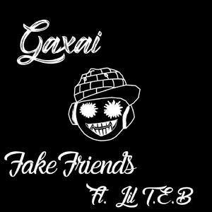 Fake Friends (feat. Lil T.E.B)