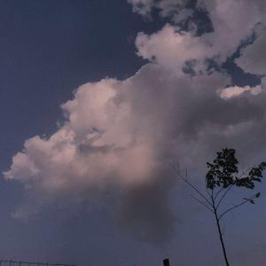 那些你很冒险的梦（原唱：林俊杰）（翻自 坠）