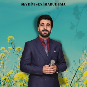 Sevdim seni mabuduma