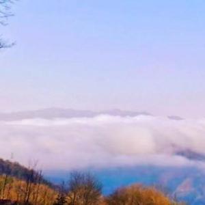 对自己说谎的哑巴