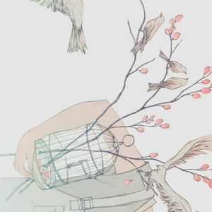 南方姑娘（翻自 赵雷）