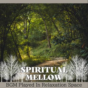 Restful Oceanside Hues