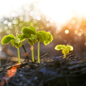 怎么说怎么做（MC版）伴奏