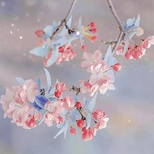 金逗包吖 - 海棠