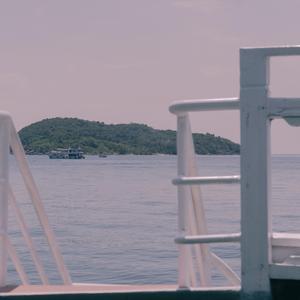 温柔的夜与晚风