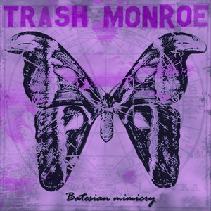 Buildings Made of Sugar