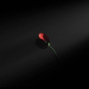 Fake Love（prod. YnJasper）