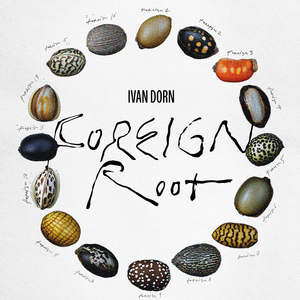 Foreign Root