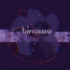 水仙花盛开的角落