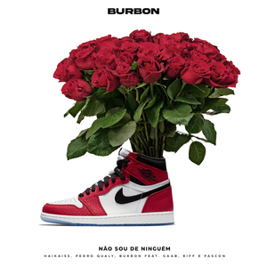 Não Sou de Ninguém