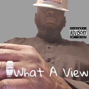 What A View