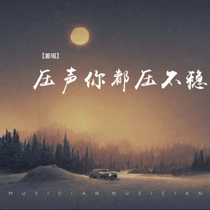 压声你都压不稳