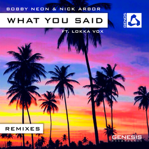 What You Said (Willem de Roo Radio Edit)