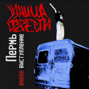 Тупые телки