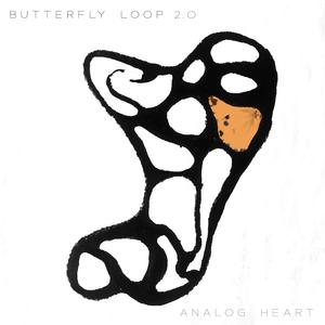 Butterfly Loop 2.0