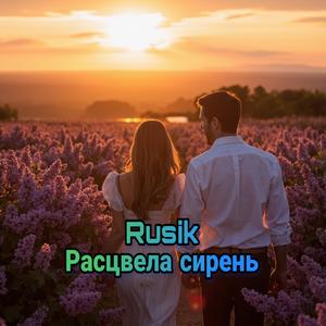 Расцвела сирень