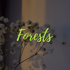Forests