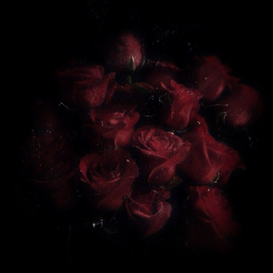 meaningful love-0.6x