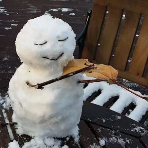 雪花飘落的时候