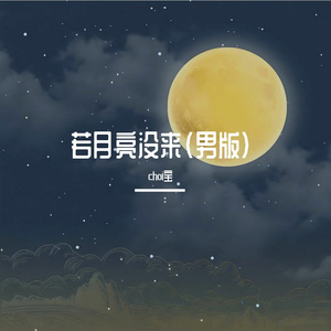 若月亮没来