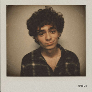 Недописанный роман