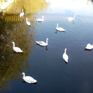 Ang buhay ay puno ng pagkabigo