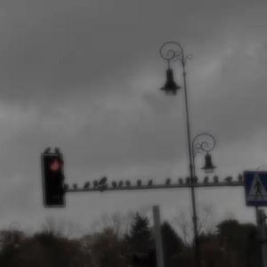 "Rockstar从深圳开始出发" (Prod.YOUNGDUBOI&trippieatplay)