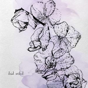 Dead Orchid