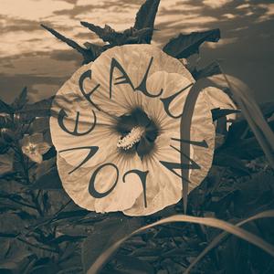 Fall in Love (feat. NITRX)