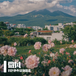 遗憾是潮湿的回南天