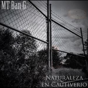 Sentimientos en Extinción